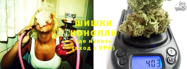 прущие грибы Балахна