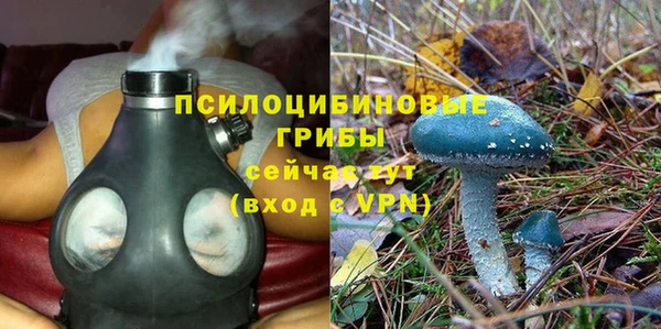 spice Белоозёрский